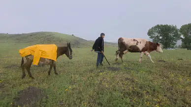 Eşeği Islanmasın Diye Yağmurluğunu Veren Fedakar Çoban