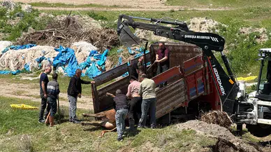 Mezbahaneden Kaçan Tosun Kovalamaca Sonunda Yakalandı