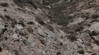 Sivas’ta Mantar Toplamaya Giden Şahıs Kayboldu!