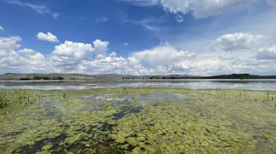 Sivas’ta Yağışlar Tarım Arazilerini Göl Haline Getirdi