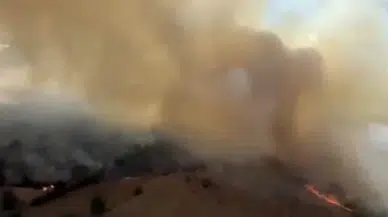 Yeniköy Mahallesi Kabusu Yaşıyor! Alevler Ormanlık Alanı Sardı, Seferberlik Başlatıldı!