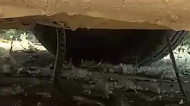Park Halindeki Aracın Motorundan Dev Yılan Çıktı!