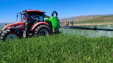 Sivas'ta Buğday Tarlalarında Sarı Pas Alarmı! Çiftçilere Acil İlaçlama Uyarısı