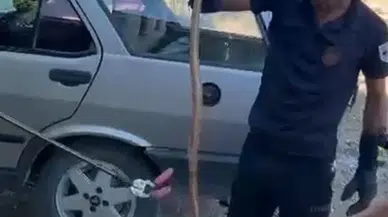 Araca Binen Aile Şoke Oldu! Koltuğun Altından Çıkan Şey Ödleri Kopardı