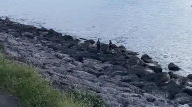 Kayıp polisin cansız bedeni denizde bulundu