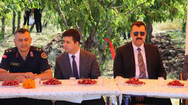 Suşehri’nde Kiraz Hasadı Etkinliği Gerçekleştirildi