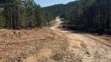 Sivas'ta Ormanlara Giriş Yasaklandı