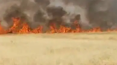 Şanlıurfa'da Korkutan Yangın! Dönümlerce Ekili Alan Bir Anda Küle Döndü