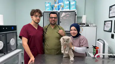 Veterinerde “deprem” etkisi: Sokak kedisi kliniği birbirine kattı