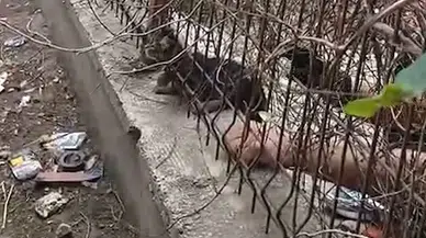 Kırıkkale'de İtfaiyeciden Vatandaşa Olay Yanıt! "İşimizi Yapalım"