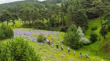 Sivas'ta Flaş Yasak Kararı! Girişler 15 Ekim'e Kadar Durduruldu...