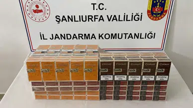 Şanlıurfa'da Şok Baskınlar! İki İlçede Birden Düğmeye Basıldı: 8 Gözaltı