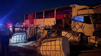 Sivas Erzincan Karayolunda İki Tır Çarpıştı: Büyükbaş Hayvanlar Yola Savruldu
