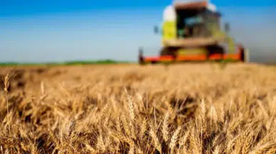 Kırsal kalkınmaya 237,3 milyon liralık tarımsal destek ödemesi yapılacak