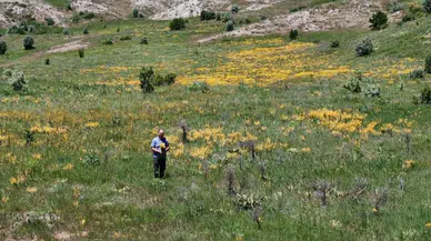 Güzelliğiyle doğaseverleri mest ederken, şifasıyla hastalara umut oluyor