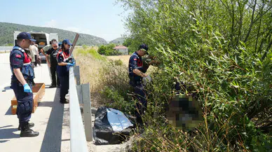 Kastamonu'da Vur-Kaç Dehşeti: Ağaç Altında Cansız Bedeni Bulundu!