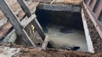 Amasya'da Can Pazarı! Hayvanlarını Kurtarmak İsterken Canından Oldu