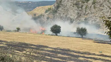 Sivas-Turhal Kara Yolunda Korkutan Yangın: Ekipler Büyümeden Söndürdü!