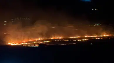 Tatvan ve Ahlat Arasında Gece Alarmı: 300 Dönümlük Alan Kül Oldu!
