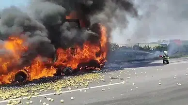 TAG Otoyolunda Feci Kaza: Arızalanan Tıra Çarpan Kamyon Alev Aldı, 1 Ölü!