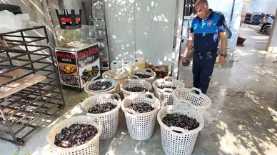 Mersin'de Skandal Baskın: Gazete Kağıdıyla Pişirilen Midyeler Yakalandı!