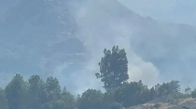 Muğla Akkaya'da Ormanlık Alanda Yangın Çıktı: Bölgeye Ekipler Sevk Edildi