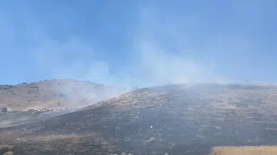Yıldızeli Güneykaya'da Korkutan Arazi Yangını: Ekipler Anında Müdahale Etti!