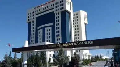 Tarım ve Orman Bakanlığı personel alımı başladı mı? Başvuru ekranı ve şartları