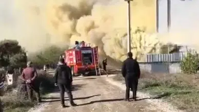 Sakarya’da Mobilya Dükkanında Yangın: Sarı Dumanlar Gökyüzünü Kapladı