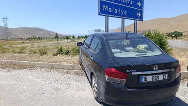 Doğanşehir-Çelikhan Mevkiinde Feci Kaza! Ekipler Bölgeye Seferber Oldu!