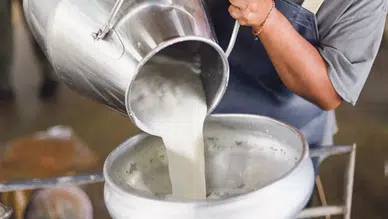 Çiğ sütün maliyeti belli oldu