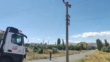 Şarkışla'da Korku Dolu Anlar! Fırtına Ağacı Devirdi, Alevler Yüksel