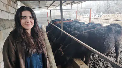 Devlet Desteği Hayatını Değiştirdi: Genç Sağlıkçı Düve Yetiştiriyor