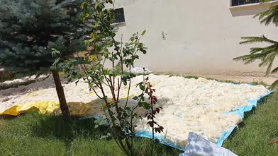 Elyafa İnat Yün Kullanıyorlar: Sivaslı Kadınların Zorlu Kış Hazırlığı