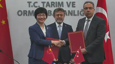 Türkiye'nin Defne Yaprağı İhracatı 60 Milyon Dolara Ulaştı