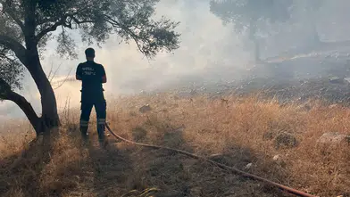 Bodrum-Milas Karayolunda Ot Yangını Ekipleri Harekete Geçirdi