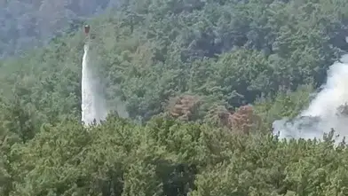 Adana Kozan’da Yürekler Ağza Geldi: Kontrol Altına Alınan Ormanlık Alanda Yeniden Yangın Çıktı!