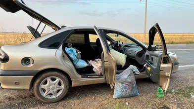 75 Kilo Fıstığı Çalarken Yakalandılar! Jandarma Suçüstü Yaptı