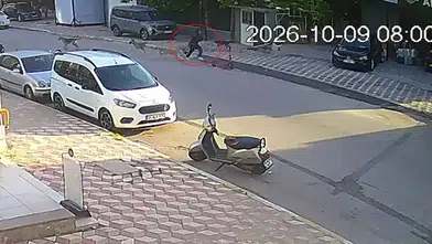 Hatay'da Okul Yolunda Köpek Saldırısı: 15 Yaşındaki Kız Yaralandı