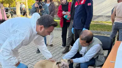 Kahramanmaraş'ta 230 Hayvana Kuduz Aşısı! 60 Hayvana Mikroçip Takıldı