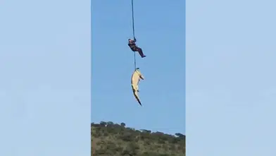 Akılalmaz olay! Selde kaybolan iş insanı timsahın midesinden çıktı