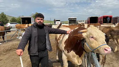 Hayvan Pazarı’nda Kurban Bayramı Yoğunluğu Başladı