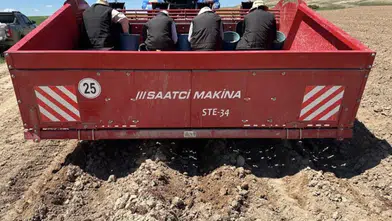 Sivas Kangal’da Yerli Patates Seferberliği: Niğşah ve Saruhan’ın Tohumluk Dikimi Yapıldı