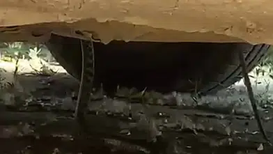 Park Halindeki Aracın Motorundan Dev Yılan Çıktı!