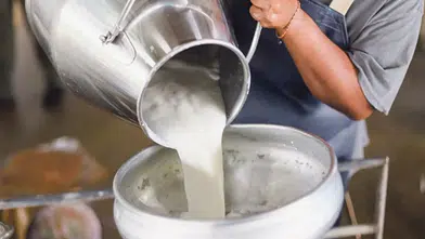 Çiğ sütün maliyeti belli oldu