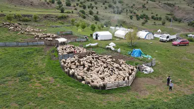 Geleneksel Erzincan Tulum Peyniri Çocuklara Emanet