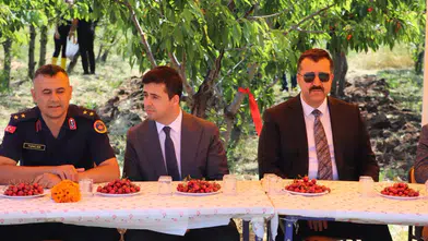 Suşehri’nde Kiraz Hasadı Etkinliği Gerçekleştirildi