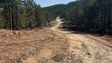 Sivas'ta Ormanlara Giriş Yasaklandı