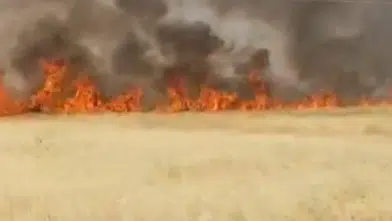 Şanlıurfa'da Korkutan Yangın! Dönümlerce Ekili Alan Bir Anda Küle Döndü