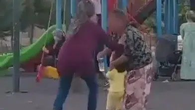 Parkta İnsanlık Ayıbı! Ağlayan Çocuğu Sakinleştirmek İstedi Ama...